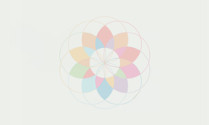 Premio MERCOSUR de Artes Visuales imagen