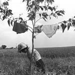 Comunidad Mbya, Caaguazú
