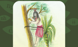 El pensamiento que fluye en las lenguas indígenas vivas en Paraguay imagen