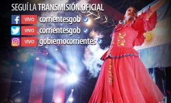 Representación paraguaya subirá al escenario de la Fiesta Nacional del Chamamé el sábado 15 de enero imagen