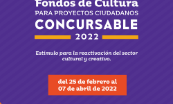 La SNC habilita convocatoria del programa Fondos de Cultura 2022 imagen