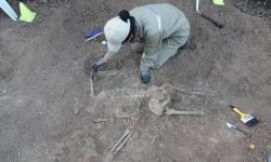 Técnicos de la SNC asisten al MOPC tras el hallazgo de restos óseos en la zona del Chaco imagen