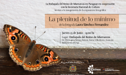 La Embajada del Reino de Marruecos en Paraguay inaugura hoy la exposición fotográfica “La plenitud de lo mínimo” imagen
