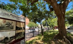 Avanzan los trabajos de intervención para puesta en valor de las plazas del centro de Asunción imagen