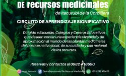 Punto de Cultura lanza circuito de aprendizaje significativo imagen