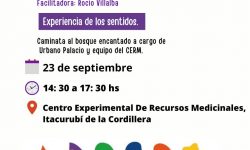 Este sábado se realiza la Clausura del Proyecto “INTEGRARTE” – Talleres de arte inclusivo que beneficiaron a más de 80 personas con discapacidad y sus familias imagen